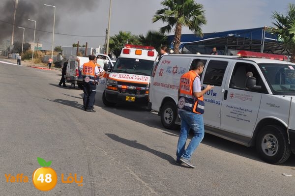 fireludkartoonmasna34 (33).JPG